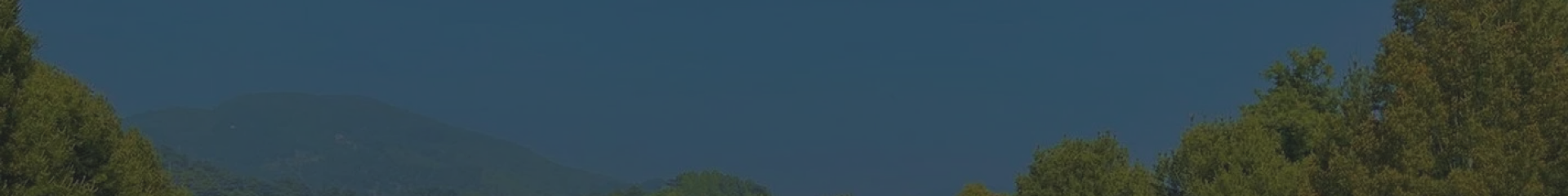 济南公墓购墓流程标题背景图