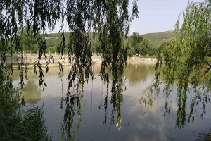 济南市历城区恭德陵园寿南山园区湖景图