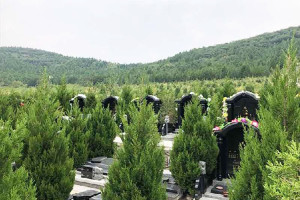 济南市历城区锦云川公墓墓区环境图