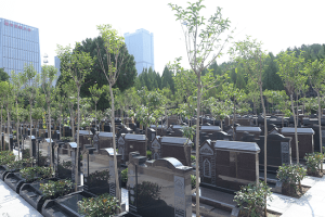 玉顶山公墓景观图