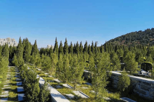 双峰山陵园景观图