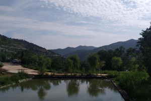 福舜园公墓景观图