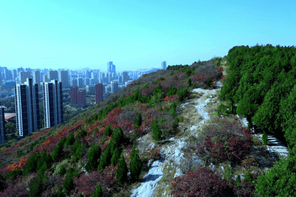 多子山生命文化公园景观图
