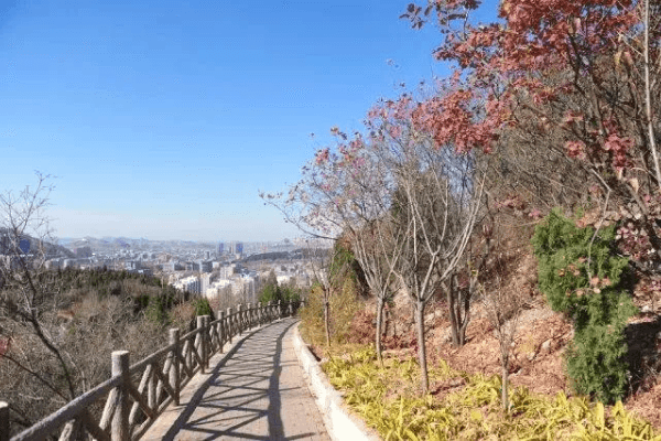 多子山生命文化公园环境图