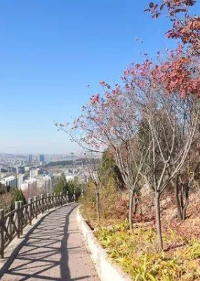多子山生命文化公园环境图