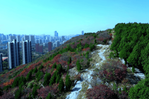 多子山生命文化公园景观图